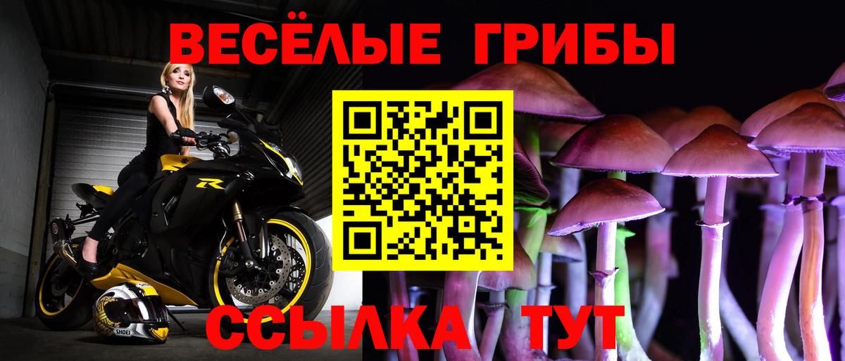 Псилоцибиновые грибы прущие грибы  даркнет сайт  Амурск  Вход с VPN 